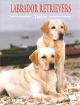 LABRADOR RETRIEVERS TODAY. By Carole Goode.