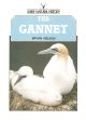 THE GANNET. By Bryan Nelson. Shire Natural History series no. 36.