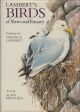 LAMBERT'S BIRDS OF SHORE AND ESTUARY. Paintings by Terence Lambert. Text by Alan Mitchell.