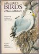 LAMBERT'S BIRDS OF SHORE AND ESTUARY. Paintings by Terence Lambert. Text by Alan Mitchell.