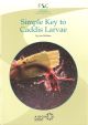 SIMPLE KEY TO CADDIS LARVAE. By Ian Wallace. A Field Studies Council publication.