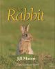 THE RABBIT. By Jill Mason.