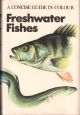 A CONCISE GUIDE IN COLOUR: FRESHWATER FISHES. By J. Vostradovsky.