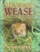 THE YEAR OF THE WEASEL: THE STORY OF BEALE OF DILDAWN. By Paul Thomas.  With photographs by Gillian Thomas.