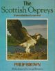 THE SCOTTISH OSPREYS: FROM EXTINCTION TO SURVIVAL. By Philip Brown.