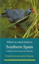 WHERE TO WATCH BIRDS IN SOUTHERN SPAIN, ANDALUCIA, EXTREMADURA AND GIBRALTAR. Hamlyn Birdwatching Guides.