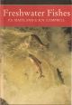 FRESHWATER FISHES OF THE BRITISH ISLES. By Peter Maitland and Niall Campbell. Collins New Naturalist No. 75. Paperback Edition.