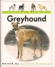 LIVING WITH A GREYHOUND. Edited by Cynthia Branigan.