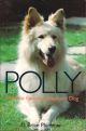 POLLY: A WHITE GERMAN SHEPHERD DOG. By Brian Plummer.