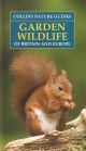 GARDEN WILDLIFE OF BRITAIN and EUROPE. By Michael Chinery. COLLINS NATURE GUIDES.