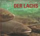 DER LACHS: EIN FISCH KEHRT ZURUECK. Marion Mertens, Ruedi Bosiger, Paul Imhof, Andreas Knutti, Daniel Kury, Erich Staub.