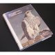 NORTH AMERICAN FALCONRY AND HUNTING HAWKS. By Frank Lyman Beebe and Harold Melvin Webster. 1985 The Silver Anniversary Edition.