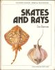 SKATES AND RAYS. By Des Brennan. Colour plates by Keith Linsell. The Osprey Anglers Series.