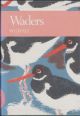 WADERS. By W.G. Hale. New Naturalist No. 65.