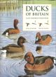 DUCKS OF BRITAIN AND THE NORTHERN HEMISPHERE. By John Gooders and Trevor Boyer.