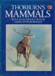 THORBURN'S MAMMALS. By Archibald Thorburn.