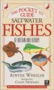 THE POCKET GUIDE TO SALTWATER FISHES OF BRITAIN AND EUROPE. By Alwyne Wheeler.