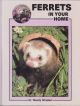 FERRETS IN YOUR HOME. By Dr Wendy Winstead.