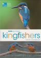 KINGFISHERS. By David Chandler. RSPB Spotlight series.