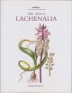 THE GENUS LACHENALIA. By Graham Duncan. A Botanical Magazine Monograph.