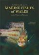 A FIELD GUIDE TO THE MARINE FISHES OF WALES AND ADJACENT WATERS. By Paul Kay and Frances Dipper.