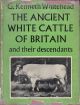 THE ANCIENT WHITE CATTLE OF BRITAIN AND THEIR DESCENDANTS. By G. Kenneth Whitehead.