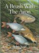 A BRUSH WITH THE AVON. Written and illustrated by John Searl.