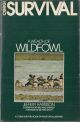 A WEALTH OF WILDFOWL. Jeffery Harrison. A Survival Book.