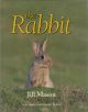 THE RABBIT. By Jill Mason.