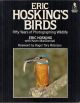 ERIC HOSKING'S BIRDS: FIFTY YEARS OF PHOTOGRAPHING WILDLIFE. By Eric Hosking with Kevin MacDonnell.