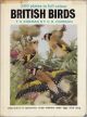 BRITISH BIRDS. By F.B. Kirkman and F.C.R. Jourdain.