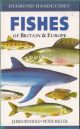 FISHES OF BRITAIN AND EUROPE. By Peter Miller. Paintings by James Nicholls.