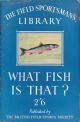 WHAT FISH IS THAT? AN ILLUSTRATED GUIDE TO THE FRESHWATER FISH OF ENGLAND, SCOTLAND AND WALES. Compiled by Michael Shephard.