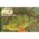 CATCH MORE PERCH. By Barrie Rickards.