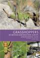 GRASSHOPPERS OF BRITAIN AND WESTERN EUROPE: A PHOTOGRAPHIC GUIDE. By Eric Sardet, Christian Roesti and Yoan Braud.