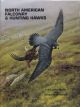 NORTH AMERICAN FALCONRY AND HUNTING HAWKS. By Frank Lyman Beebe and Harold Melvin Webster. 2000 reprint.