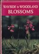 WAYSIDE AND WOODLAND BLOSSOMS: A guide to British wild flowers. By Edward Step, F.L.S. Revised by R.A. Blakelock. Third Series...