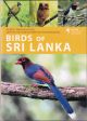 BIRDS OF SRI LANKA. By Deepal Warakagoda, Uditha Hettige and Himesha Warakagoda.