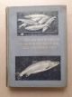 LIFE-HISTORY AND HABITS OF THE SALMON, SEA-TROUT, TROUT, AND OTHER FRESHWATER FISH. By P.D. Malloch. Second Edition.