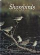 THE SHOREBIRDS OF AUSTRALIA. The National Photographic Index of Australian Wildlife. By John Douglas Pringle.