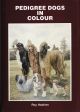 PEDIGREE DOGS IN COLOUR. By Roy Hodrien.