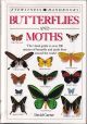 BUTTERFLIES AND MOTHS. By David Carter. Eyewitness Handbooks.