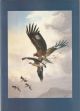 FINE ORNITHOLOGICAL PAINTINGS, SKETCHES and IMPORTANT BOOKS ILLUSTRATED BY G.E. LODGE, P. PICKMAN, J.C. HARRISON, R. ROBJENT: 17th SEPTEMBER - 8th OCTOBER 1989 AT THE WESTCLIFFE GALLERY.