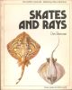 SKATES AND RAYS. By Des Brennan. Colour plates by Keith Linsell. The Osprey Anglers Series.