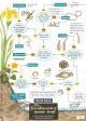 THE FRESHWATER NAME TRAIL: A KEY TO THE INVERTEBRATES OF PONDS AND STREAMS. A Field Studies Council publication. Laminated fold-out chart.